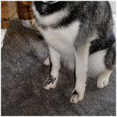 Eurow Microfibre Trek 'N' Clean Mat