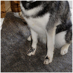 Eurow Microfibre Trek 'N' Clean Mat