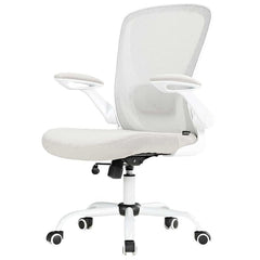 Eureka OC06 ONYX Ergonomic Office Chair Grey