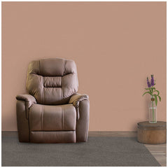 Mlily Ezy Motion Jackson Lifting Chair 4 Motor