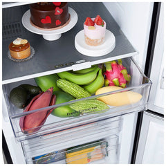 LG 332L Bottom Mount Fridge GB-W300MBL