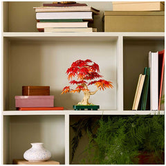 LEGO Botanicals Japanese Red Maple Bonsai Tree 10348