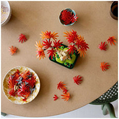 LEGO Botanicals Japanese Red Maple Bonsai Tree 10348