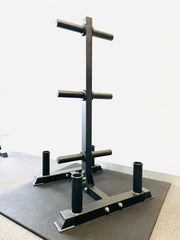 Curve Fitness Multipurpose Weight Storage Tree