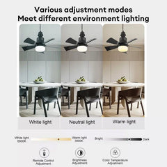 52 cm Ceiling Fan with Remote Control, 3 Speeds, LED E27, 3 Light Colors, Black