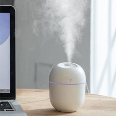 USB Aroma Humidifier Mist Air Purifier Home-Green