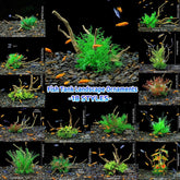 Aquarium Landscaping Decoration Artificial Wood and Plants Fish Tank Ornament - CM2201-Dark Red