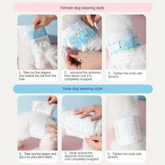 Dog Physiological Pants Pet Diaper Underwear for Hygiene and Incontinence Management - Female - M