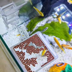 Aquarium Feeding Tube Multifunctional Fish Tank Floating Feeding Ring Shrimp Feeder