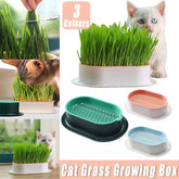 Catnip Hydroponic Box with Cat Snacks Growing Kit for Cats Fresh Catnip Bowl - Blue