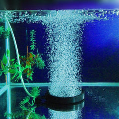 Air Bubble Disk Stone Aquarium Aerator Fish Tank Pump Hydroponics Oxygen - 10cm
