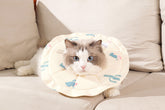 2 Pcs Size S Beige Comfortable Pet Recovery Collar | Waterproof Anti-Lick Collar for Cats & Dogs
