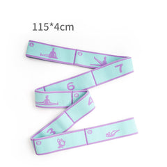 Blue and Purple 9-Loop Yoga Stretch Strap - Numbered Band for Flexibility and Physical Therapy