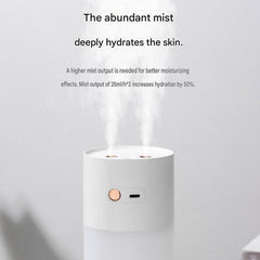 Creative Romantic Home Gift Set - Pink Dual Spray USB Humidifier with Warm LED Night Light and White Acrylic Decorative Ambient Lamp, Portable Lamp and Car Humidifier Bundle for Bedroom Office Living Room