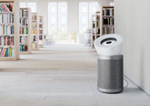 Dyson HEPA Big+Quiet Formaldehyde (White/Silver)