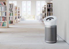 Dyson HEPA Big+Quiet Formaldehyde (White/Silver)