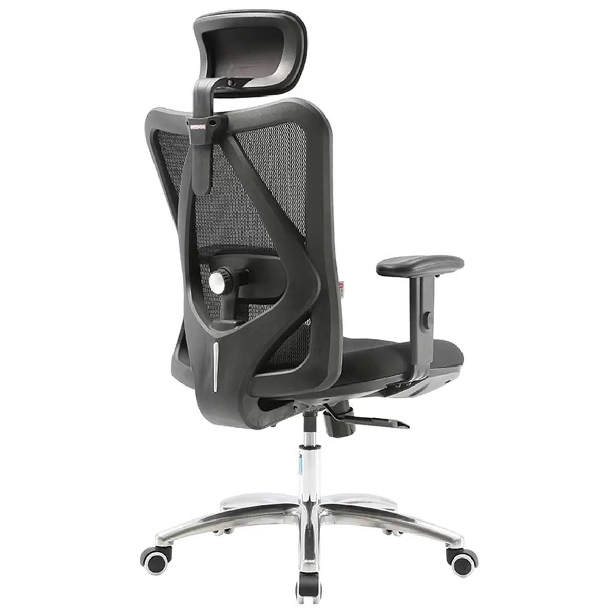 SIHOO Ergonomic Office Chair M18