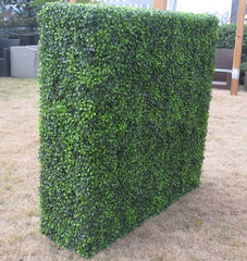 Large Portable Boxwood Hedges UV Stabilised 1.5m By 1.5m-REMOTE