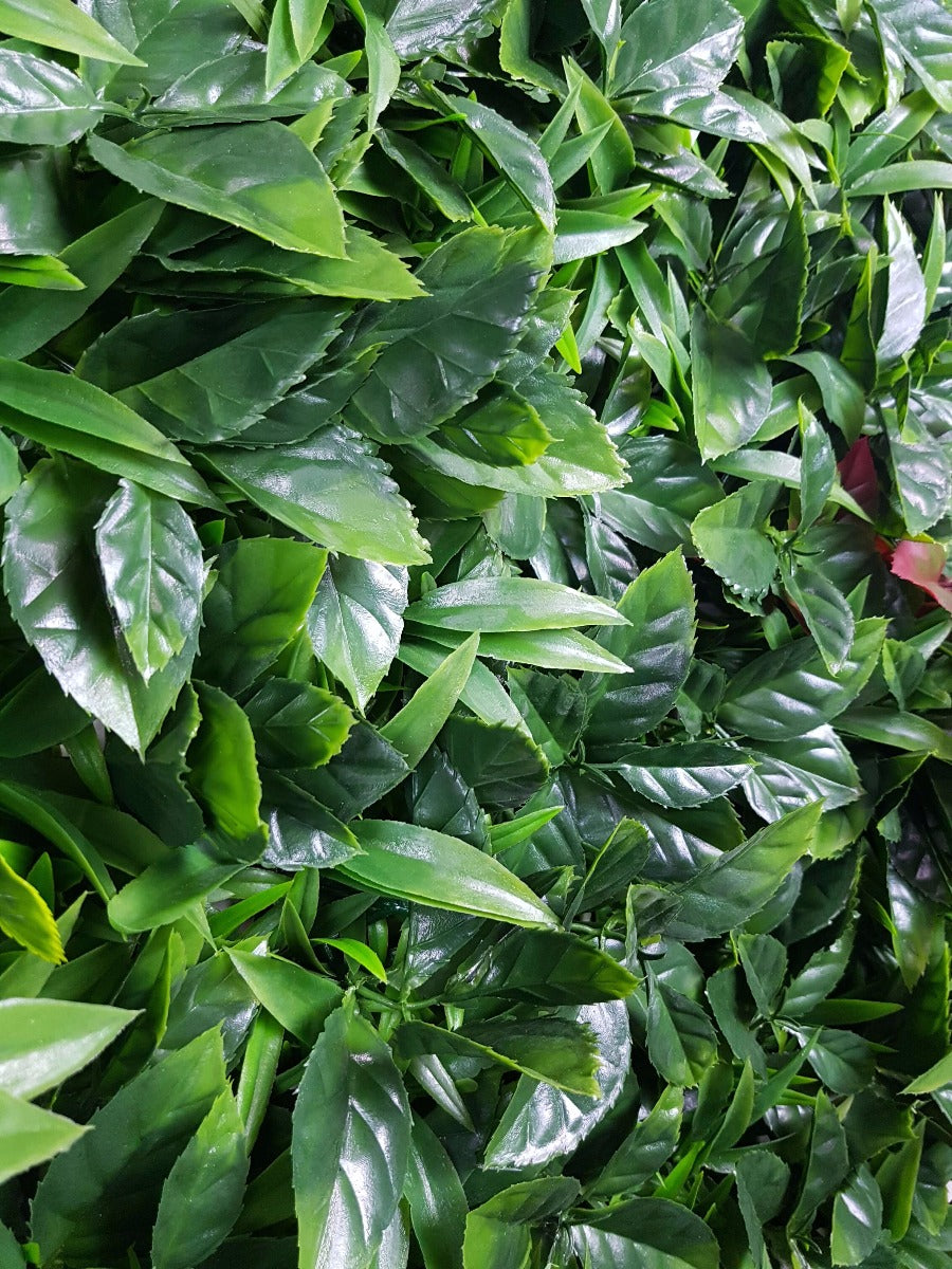 Green Meadows Vertical Garden UV Stabilised 1m X 1m-NT_Metro