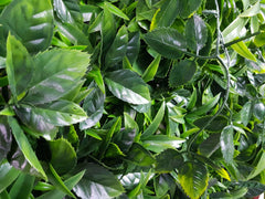 Green Meadows Vertical Garden UV Stabilised 1m X 1m-WA_Rural