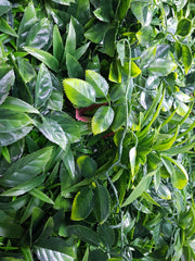 Green Meadows Vertical Garden UV Stabilised 1m X 1m-QLD_Rural