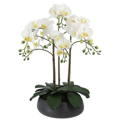 CG Hunter Faux Phalaenopsis Orchid Arrangement 61cm