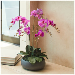 CG Hunter Faux Phalaenopsis Orchid Arrangement Pink 61cm