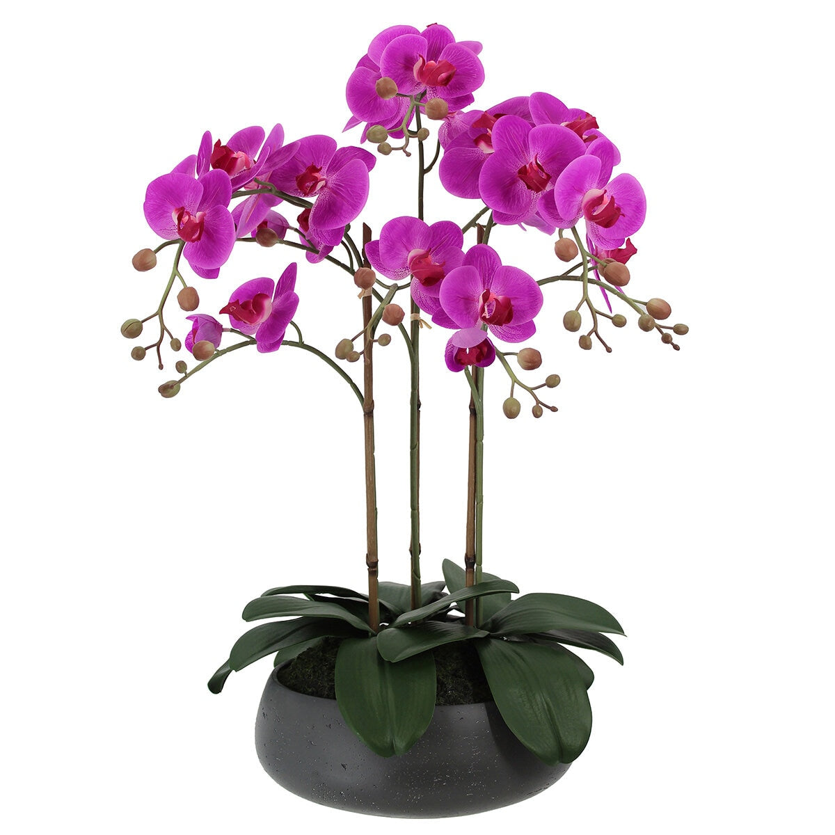 CG Hunter Faux Phalaenopsis Orchid Arrangement Pink 61cm