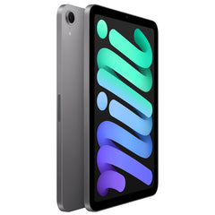 Apple iPad mini Wi-Fi 256GB Space Grey
