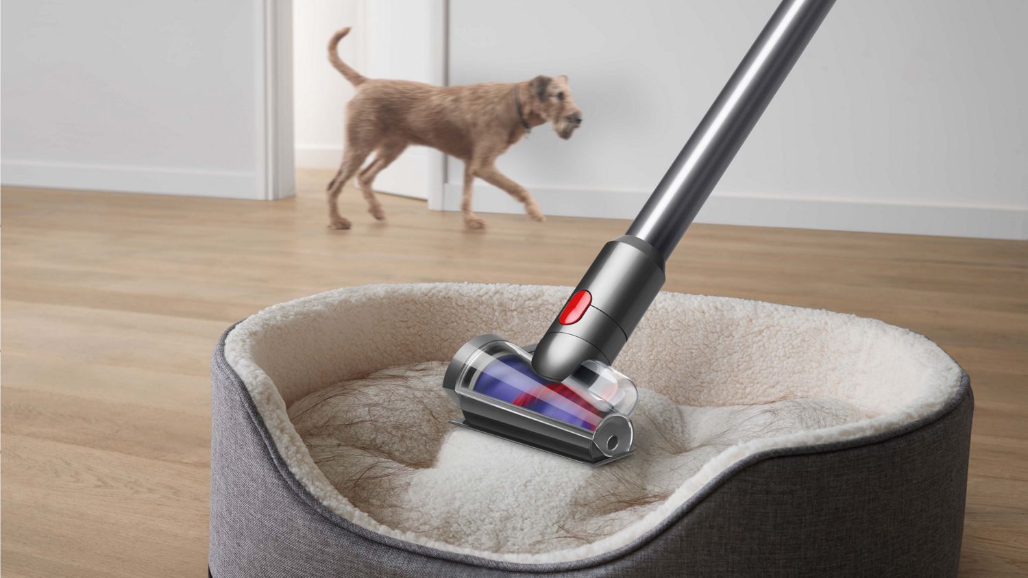 Dyson V8™ vacuum