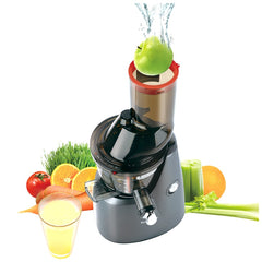 Kuvings Whole Slow Juicer C8000