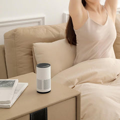 Portable Negative Ion Air Purifier Air Cleaner for Car Home Bedroom White