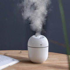USB Aroma Humidifier Mist Air Purifier Home-White