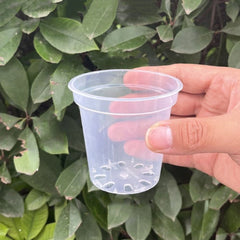 40pcs Clear Plastic Nursery Pots with Drainage Holes Transparent Orchid Pots for Home Gardening for Orchids Herbs Indoor Plants 3 Inch
