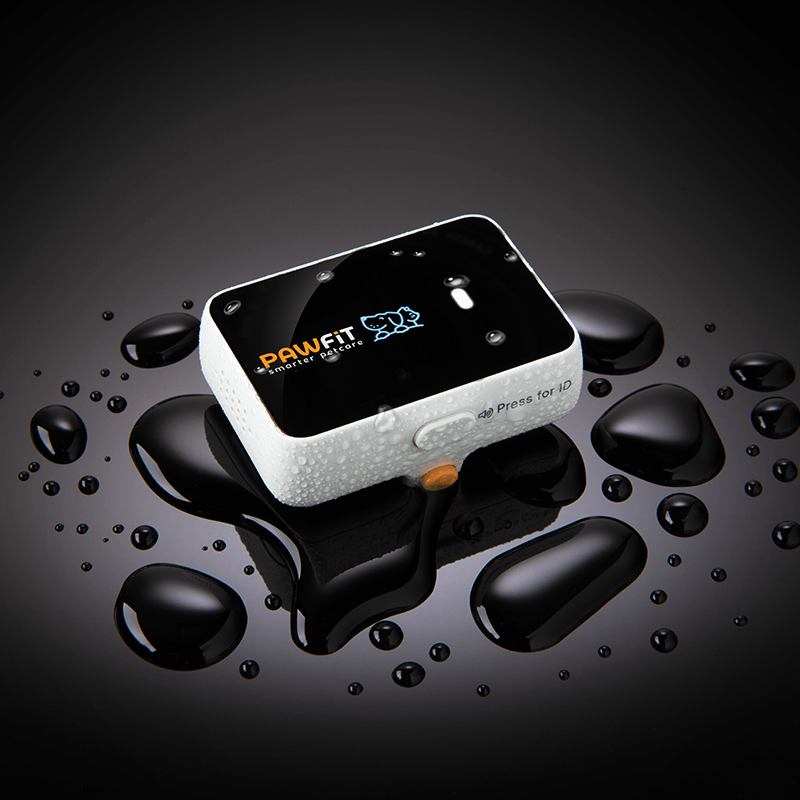 Pawfit 3 Tracker-NSW_Rural