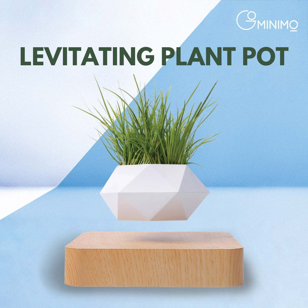 GOMINIMO Magnetic Levitating Plant Pot (Light Brown Base)