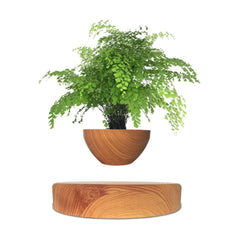 GOMINIMO Magnetic Levitating Plant Pot Oak