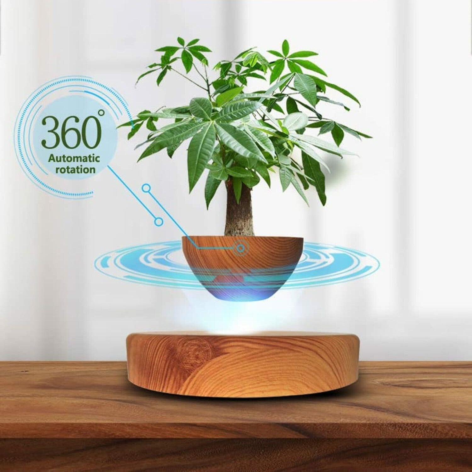 GOMINIMO Magnetic Levitating Plant Pot Oak