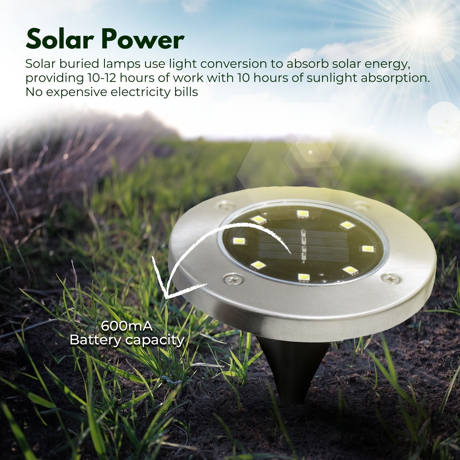 NOVEDEN 12 Pack Waterproof Solar LED Light (Warm)