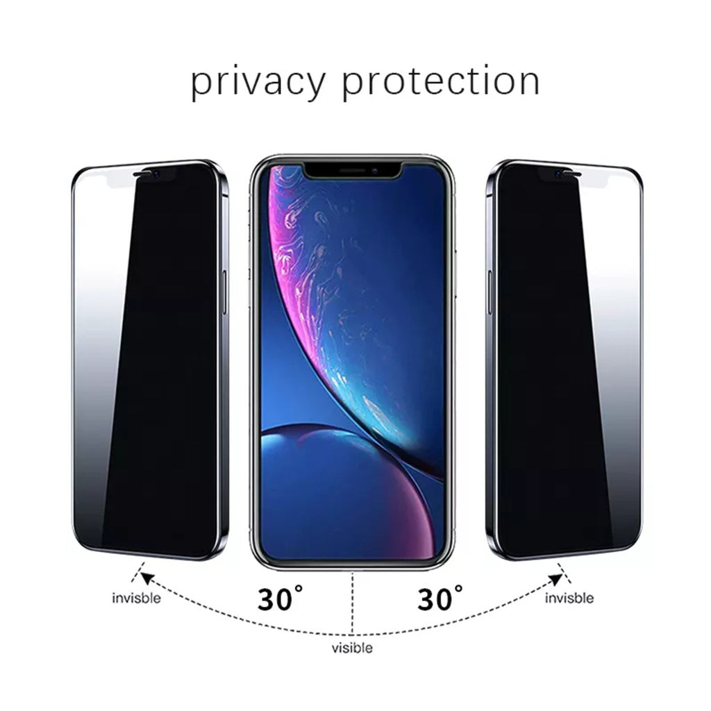 VOCTUS iPhone 14 Pro Privacy Temple Glass Screen Protector 2Pcs (Raw)