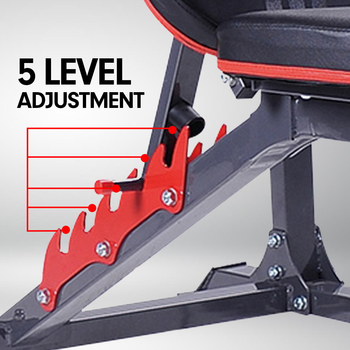 Powertrain Adjustable Weight Bench Home Gym Bench Press - 301-QLD_Metro