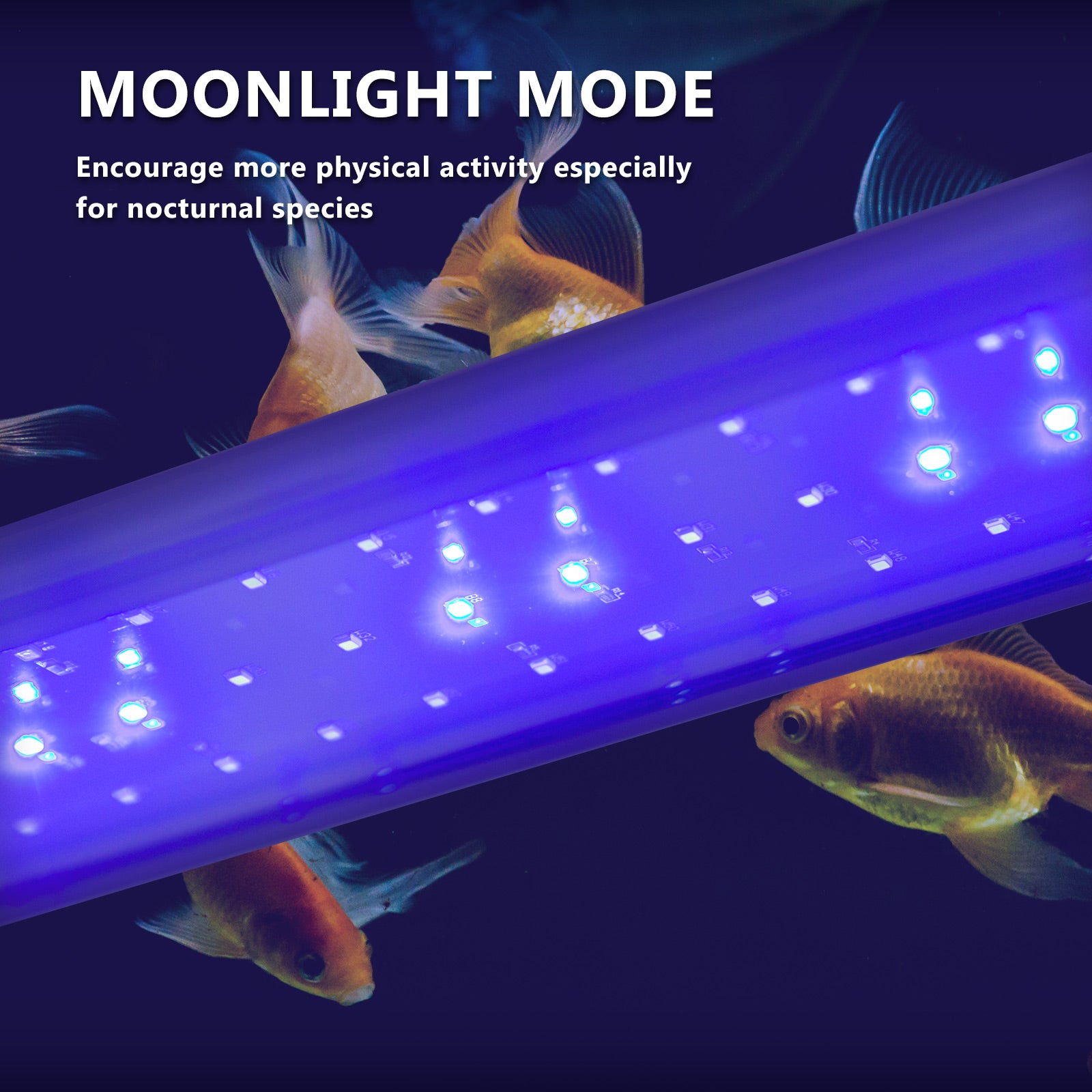 33W Aquarium Blue White LED Light for Tank 120-140cm-QLD_Metro