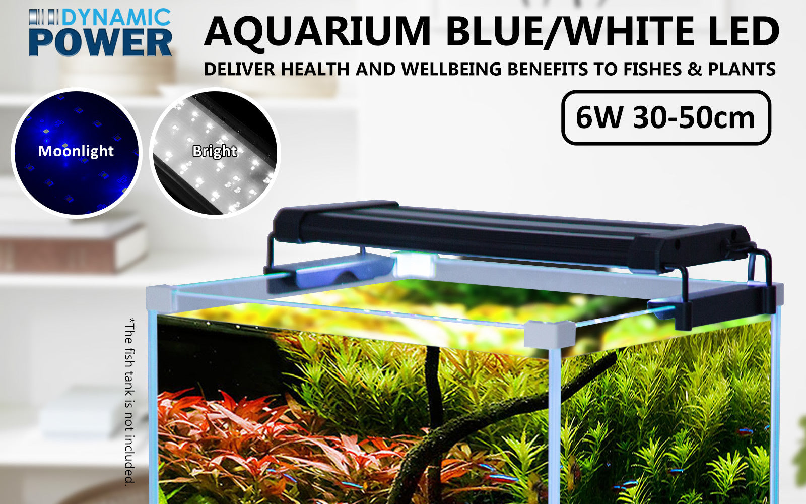 6W Aquarium Blue White LED Light for Tank 30-50cm