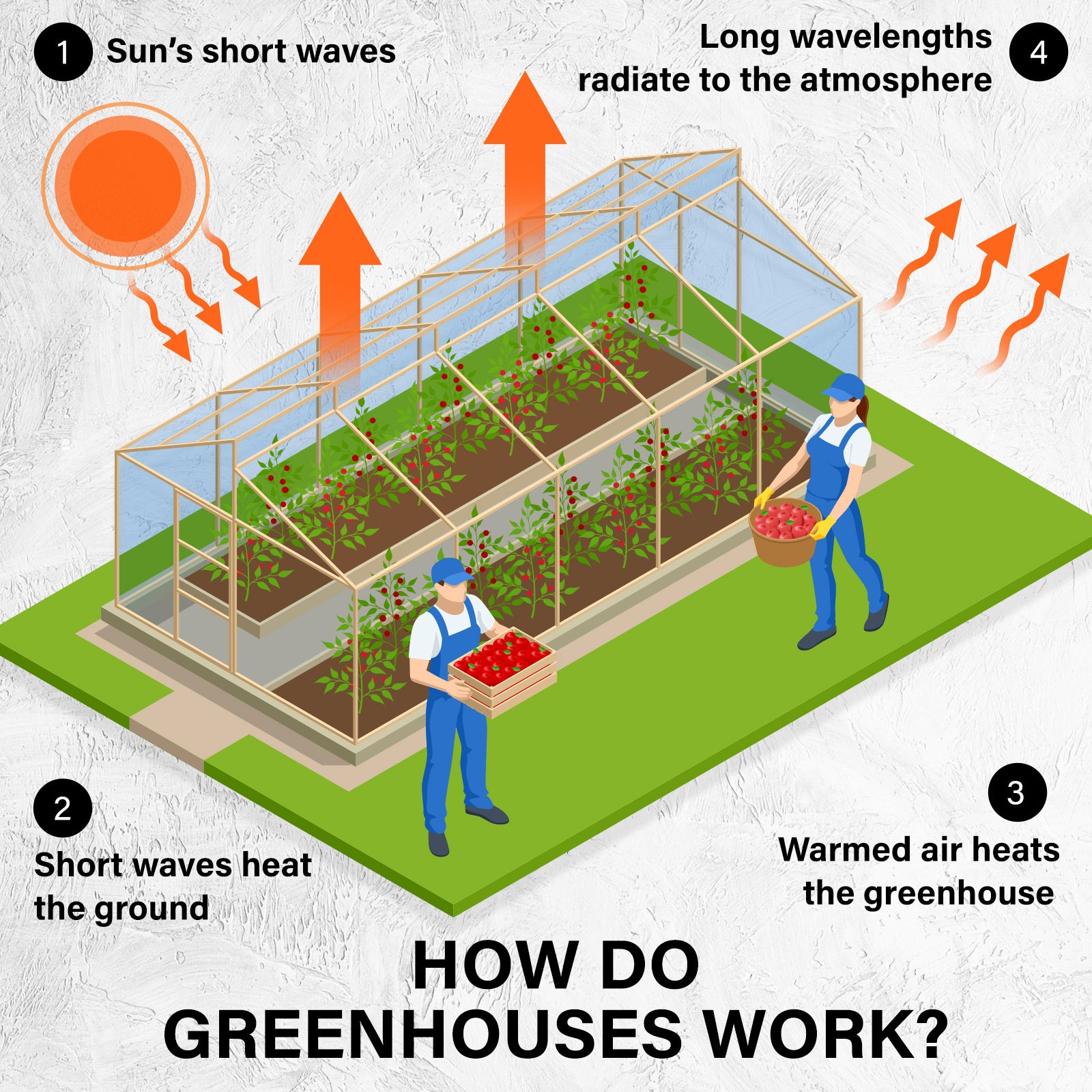 Greenhouse Walk-In Shed 3x2x2M PE Dome Tunnel Polytunnel-ACT