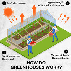 Garden Greenhouse Shed PE Cover Only 200cm Dome-NSW_Metro