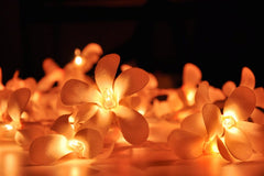 1 Set of 20 LED Orange Frangipani Flower Battery String Lights Christmas Gift Home Wedding Party Decoration