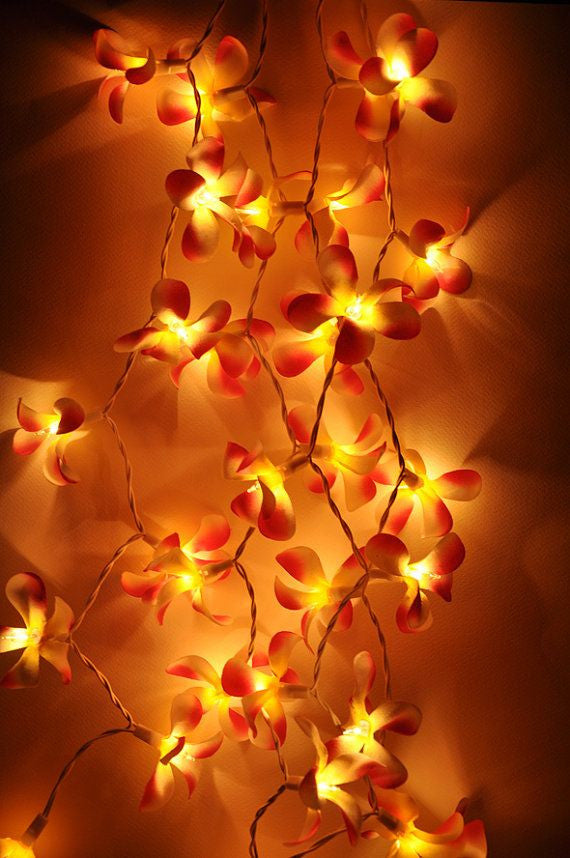 1 Set of 20 LED Orange Frangipani Flower Battery String Lights Christmas Gift Home Wedding Party Decoration