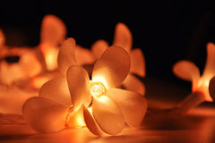 1 Set of 20 LED Orange Frangipani Flower Battery String Lights Christmas Gift Home Wedding Party Decoration