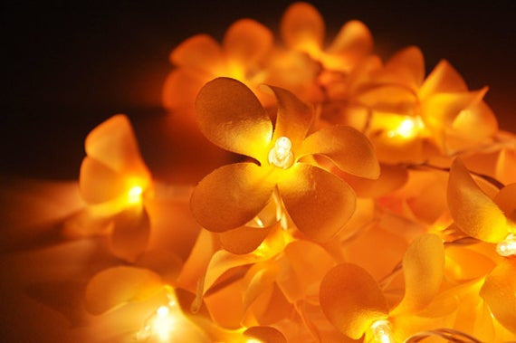 1 Set of 20 LED Orange Frangipani Flower Battery String Lights Christmas Gift Home Wedding Party Decoration