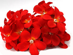 1 Set of 20 LED Deep Red Frangipani Flower Battery String Lights Christmas Gift Home Wedding Party Decoration